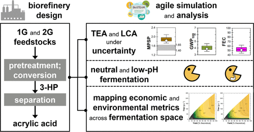 Sustainable Production of Acrylic Acid via 3-Hydroxypropionic Acid from Lignocellulosic Biomass